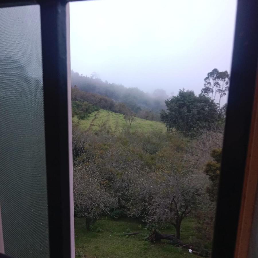 Olive Rooms Kodaikanal With Wifi, Spacious Rooms, Parking Buitenkant foto